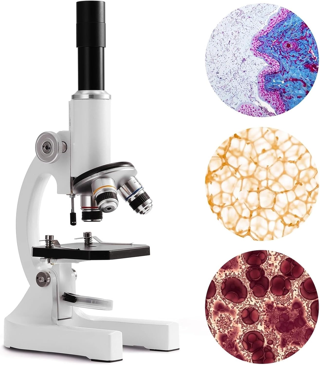 USB Microscope, Microscope, 64x-2400x Monocular Digital for Elementary School Students, Science Experiments, Biology, Educational for Children