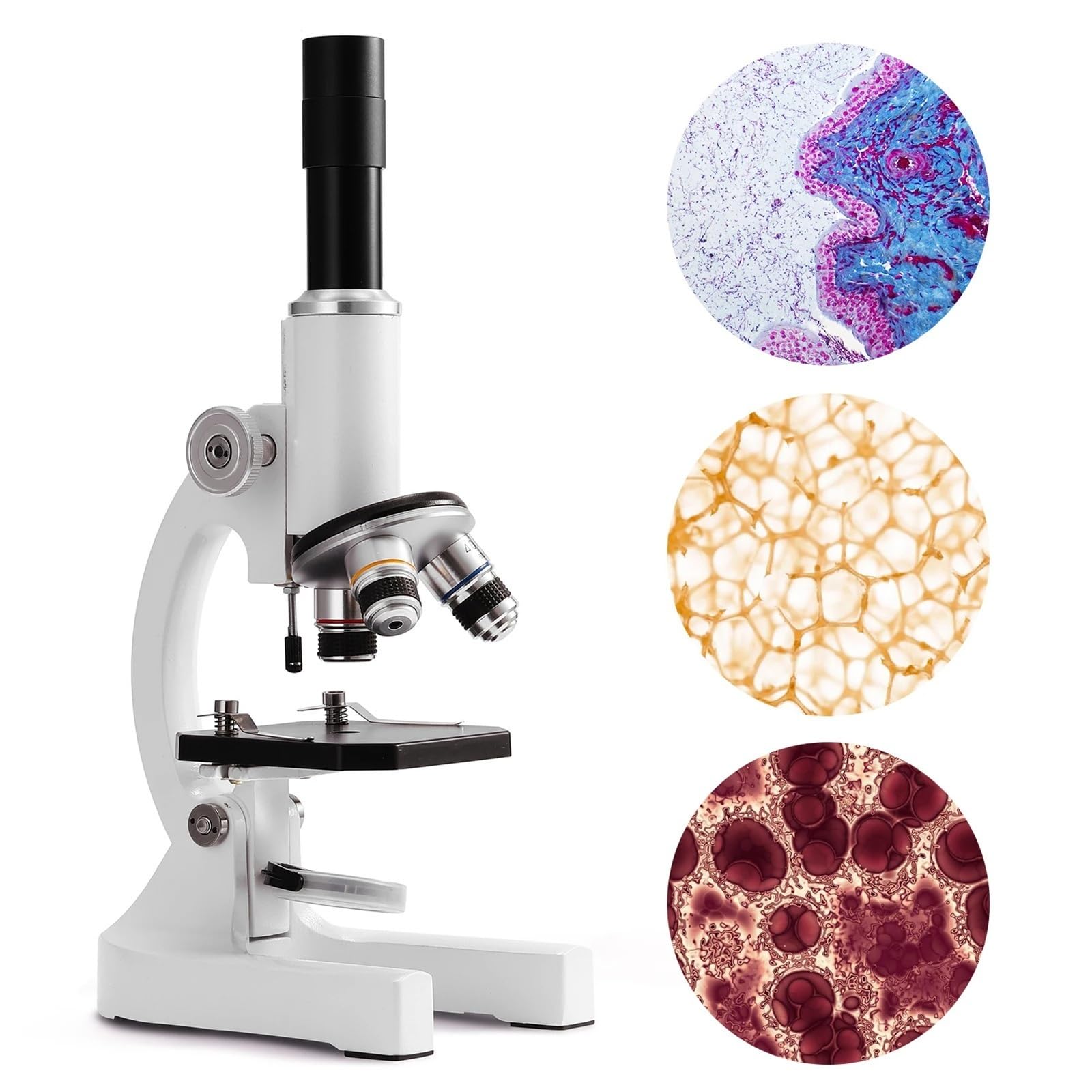 Digitales Mikroskop, 64X-2400X Monokulares Digitalmikroskop Grundschulkinder Wissenschaft Experimentelle Biologie Lehrmikroskop Kinder