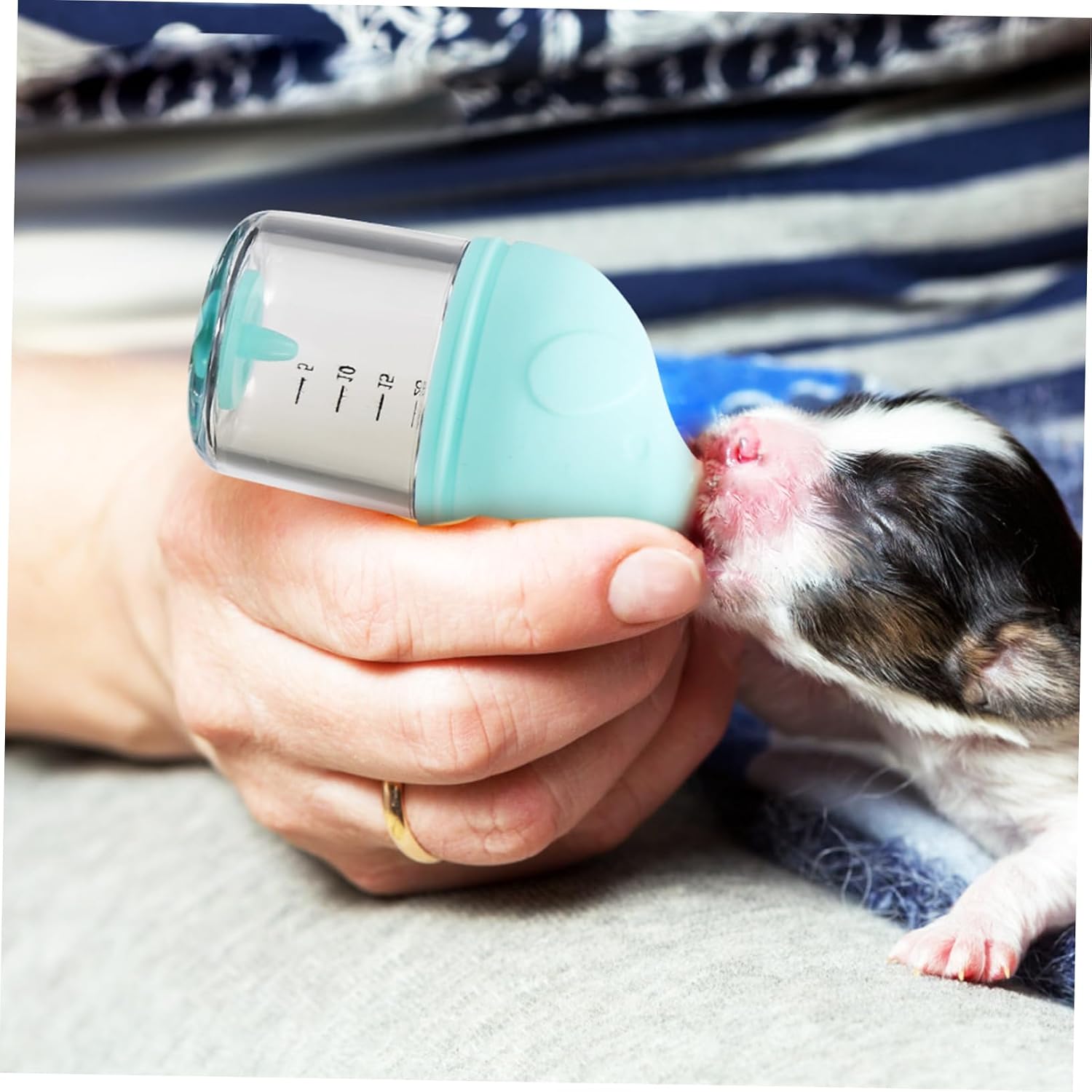 2Pcs Newborn Pet Nursing Bottles Safe Nipples for Kittens and Puppies Comfortable Feeding for Newborn Pets Stylish