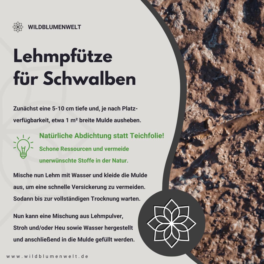 LEHM/polvere naturale di argilla per la costruzione di Sandarium & Api (aiuti di nidificazione), per il fissaggio di tubi di cova, per modellare bombe di seme, come offerta per rondini per la