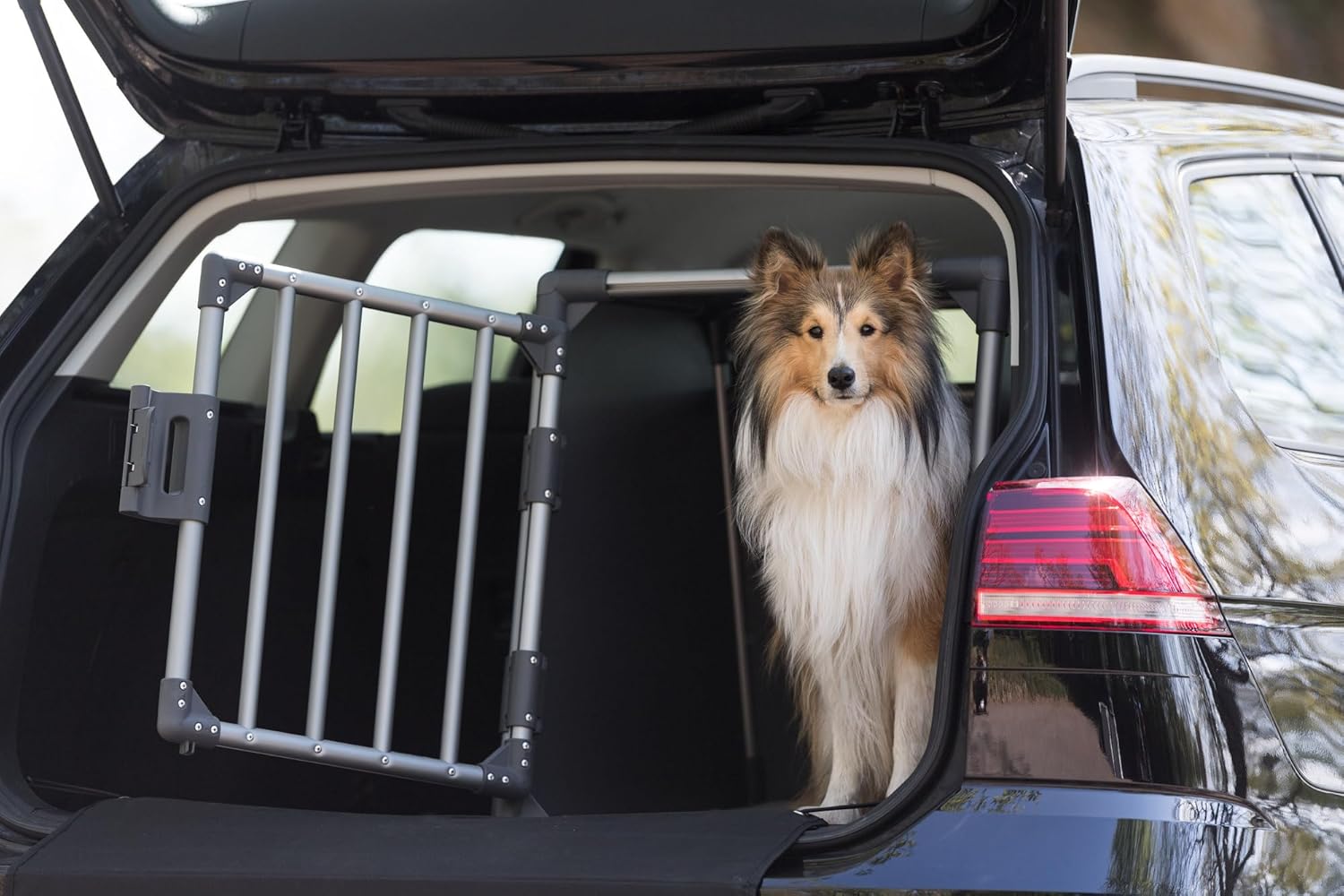 Dog in TRIXIE T39336 Transport Box in car with door closed