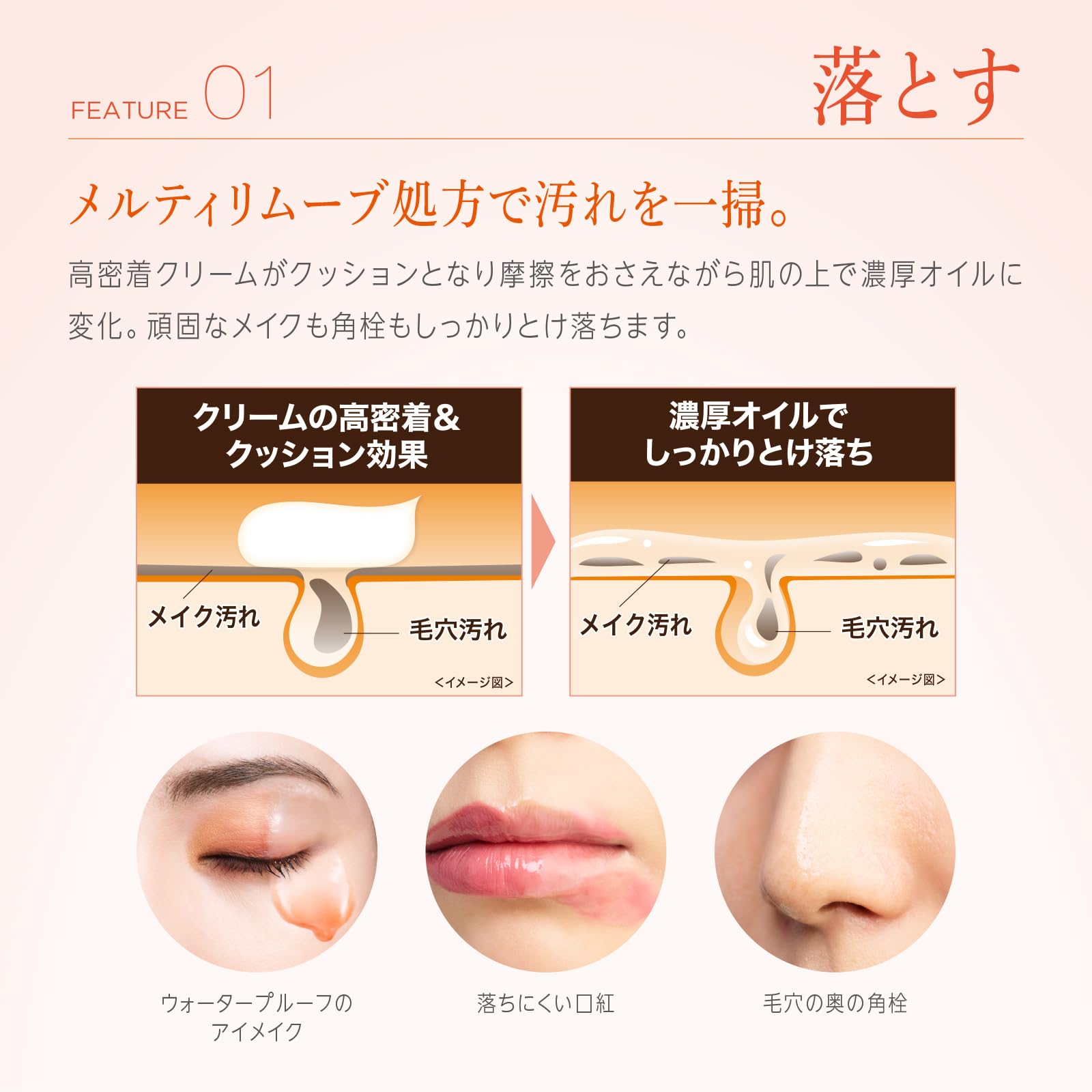 Amazon.co.jp: エクセルーラ: 商品一覧