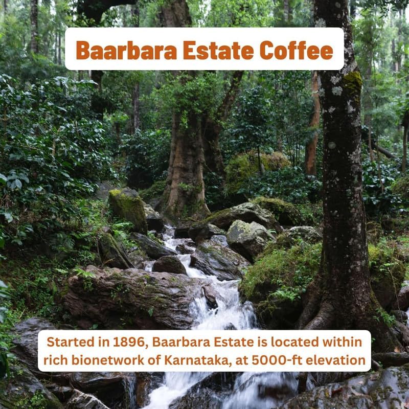 Image of Toffee Coffee Roasters | Baarbara Estate Coffee | Single Origin Arabica Light to Medium Roast, Notes: Dry Almond, Coco and Honey, Grind: Whole Beans, Freshly Roasted- 250 gms