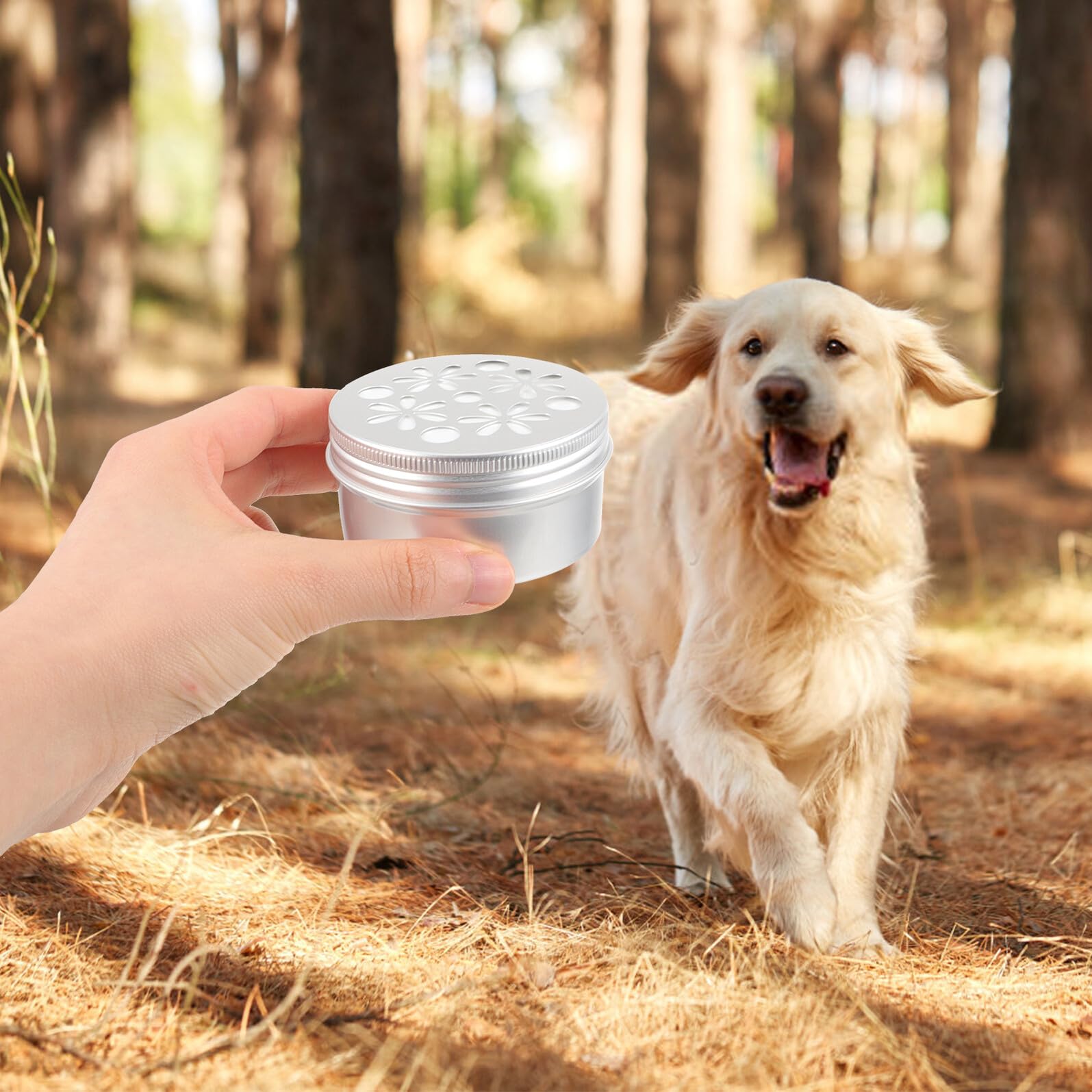 GALPADA 10 Piezas Cajas de Aroma para Adiestramiento Canino Equipo de Adiestramiento Canino Latas Metálicas Tapa para Perros para Entrenamiento de Olfato