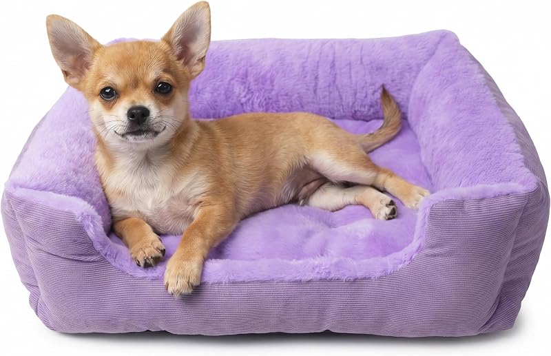 Sofá-Cama Retangular para Cães Pequenos com Superfície Plush, Base Antiderrapante e Lavável – wrkfree – 45,72 x 35,56 x 10,16 cm