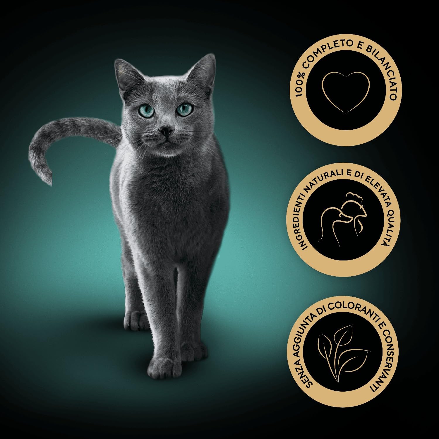 Sheba Paté Classics, Cibo per Gatto con Vitello e Pollo, 22 Vaschette da 85 g, Totale 1870 g
