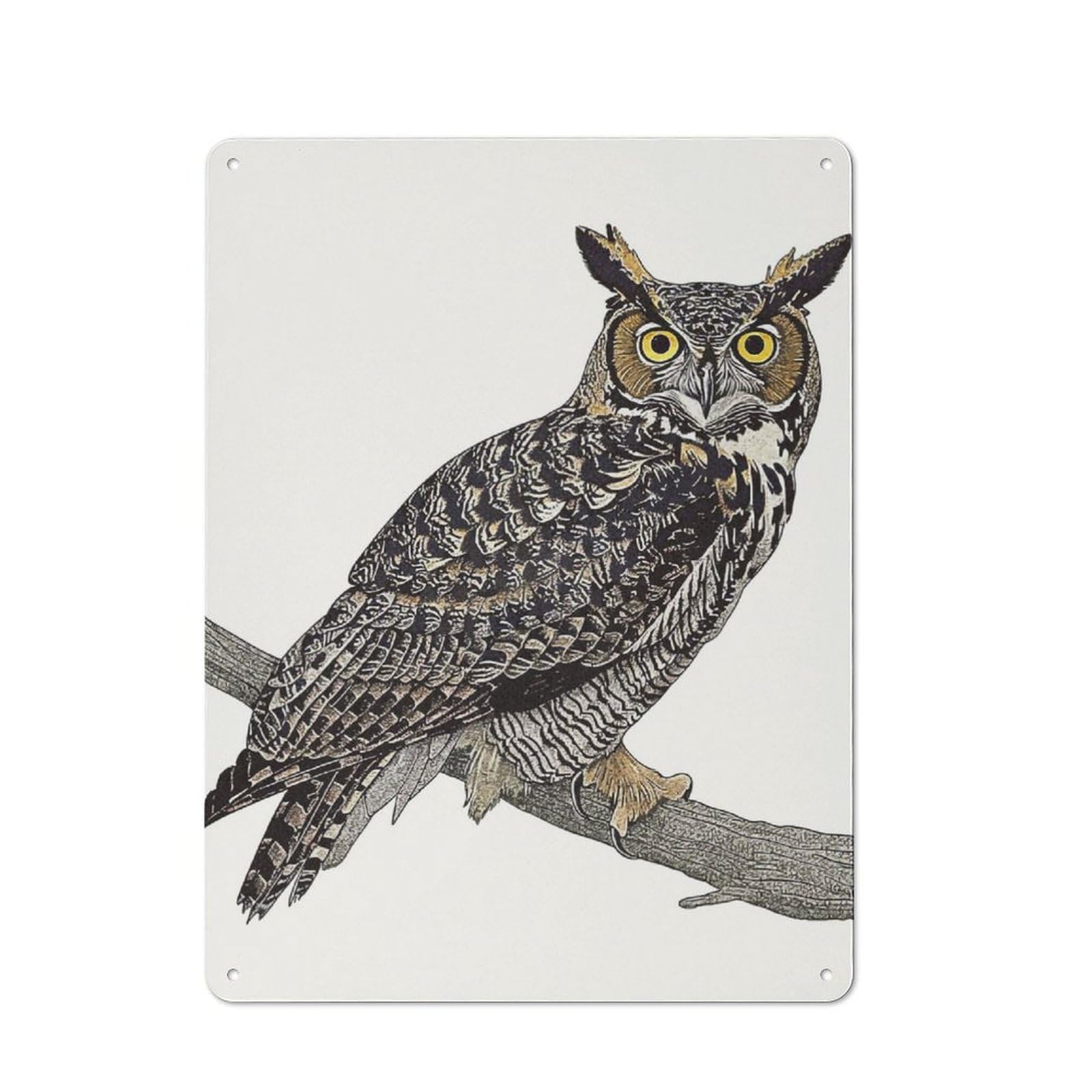 Junmoney Owl Portrait Classic Metal Wall Plaque 40X30cm, Retro Room Decor For Bedroom, Office, Home Bar Or Dining Room