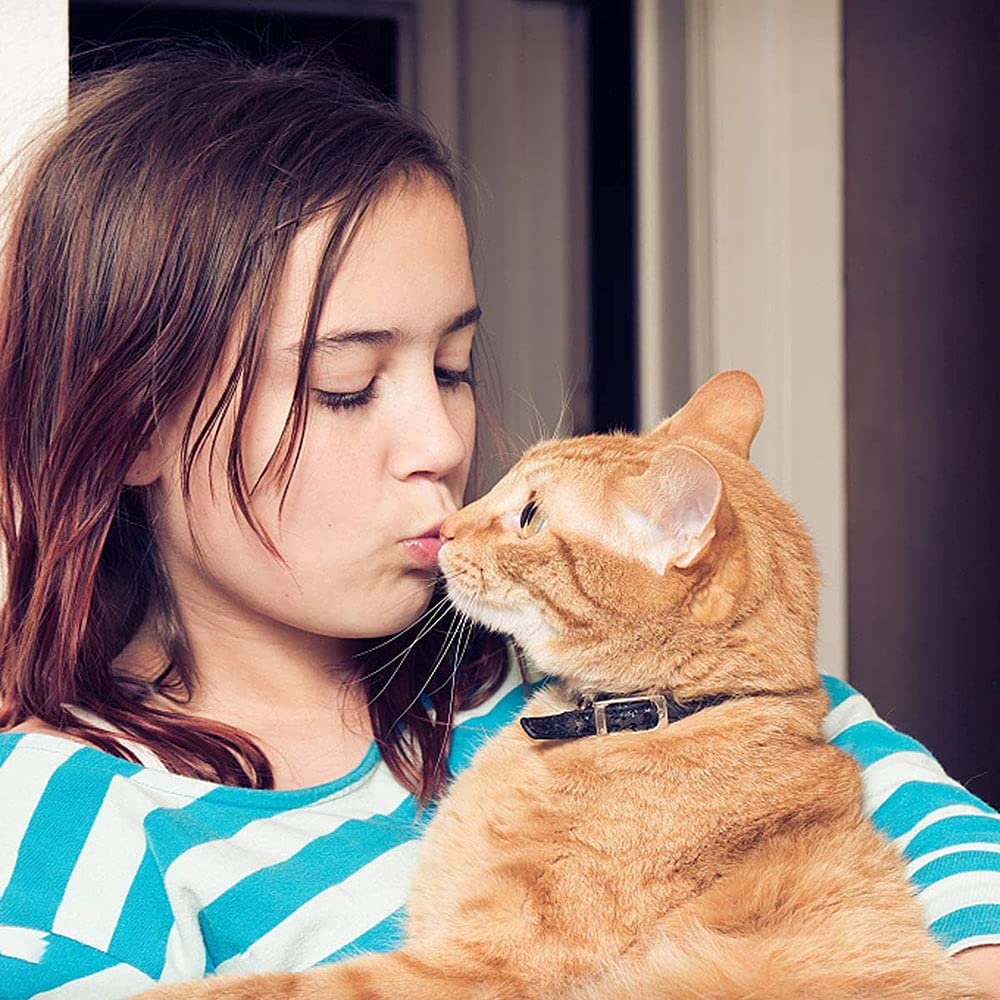 5 Pezzi Collare per Gatto in Pelle,Regolabile Collare Animali Domestici con Campana,Fibbia di Sgancio di Sicurezza Collare per Gatti Animaletti Picoli Cani