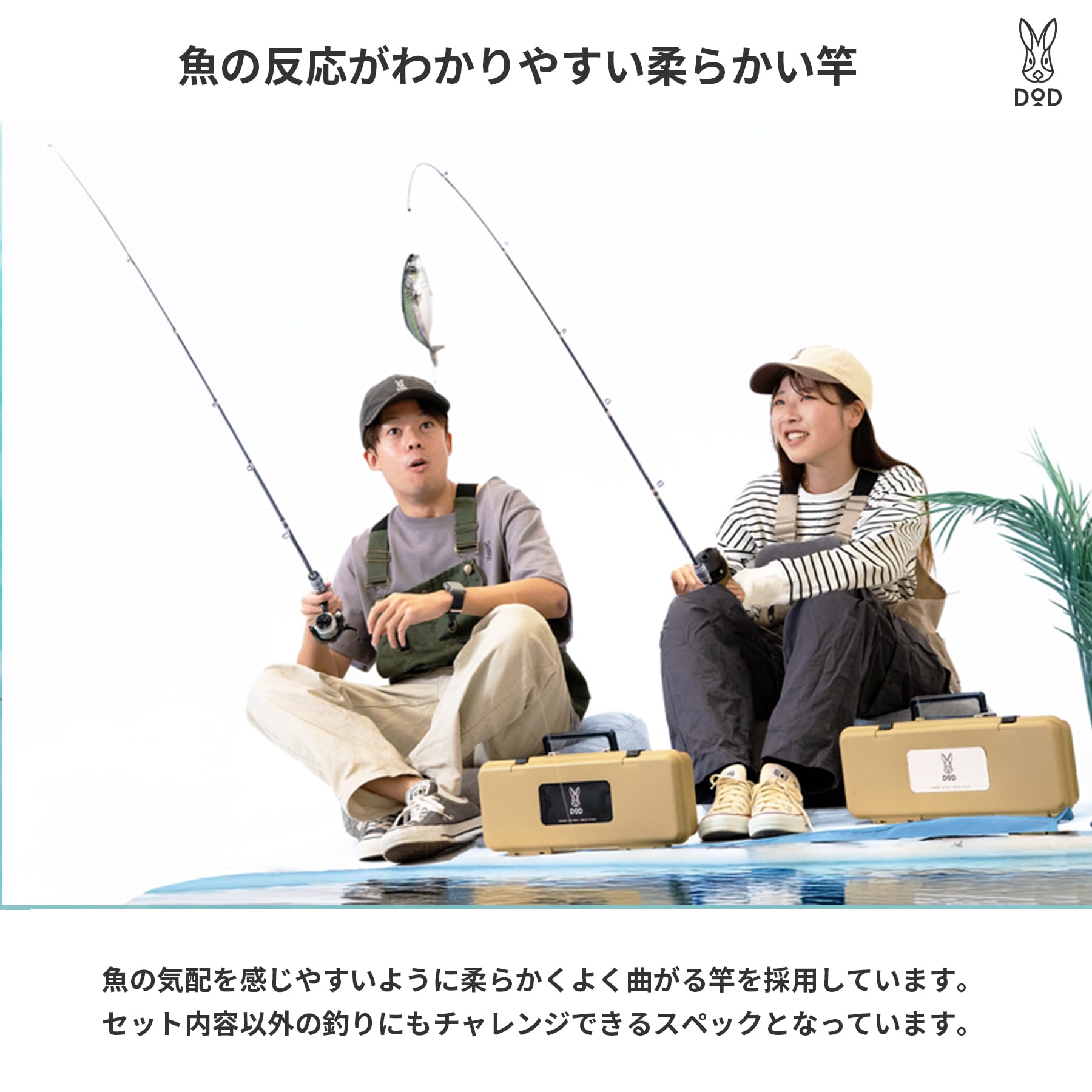 Amazon.co.jp: DOD(ディーオーディー) 釣りボックス（ふつう