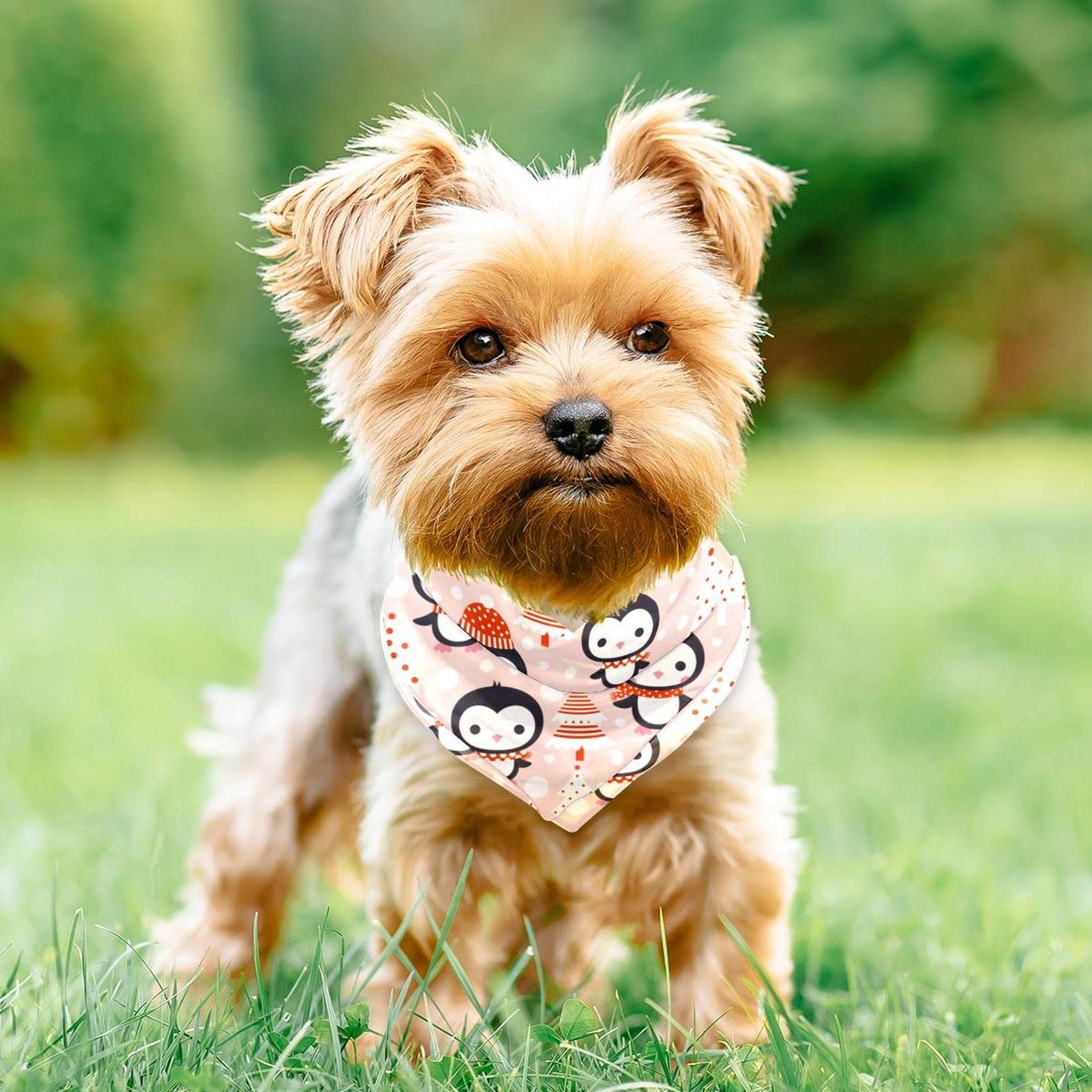 Elegance Aquarel Rose Lente Bloemen Hond Bandanas Sjaal 2 Stks Puppy Verjaardag Vakantie Bandana Huisdier Accessoires Kat Kitten Bandana Kraag L