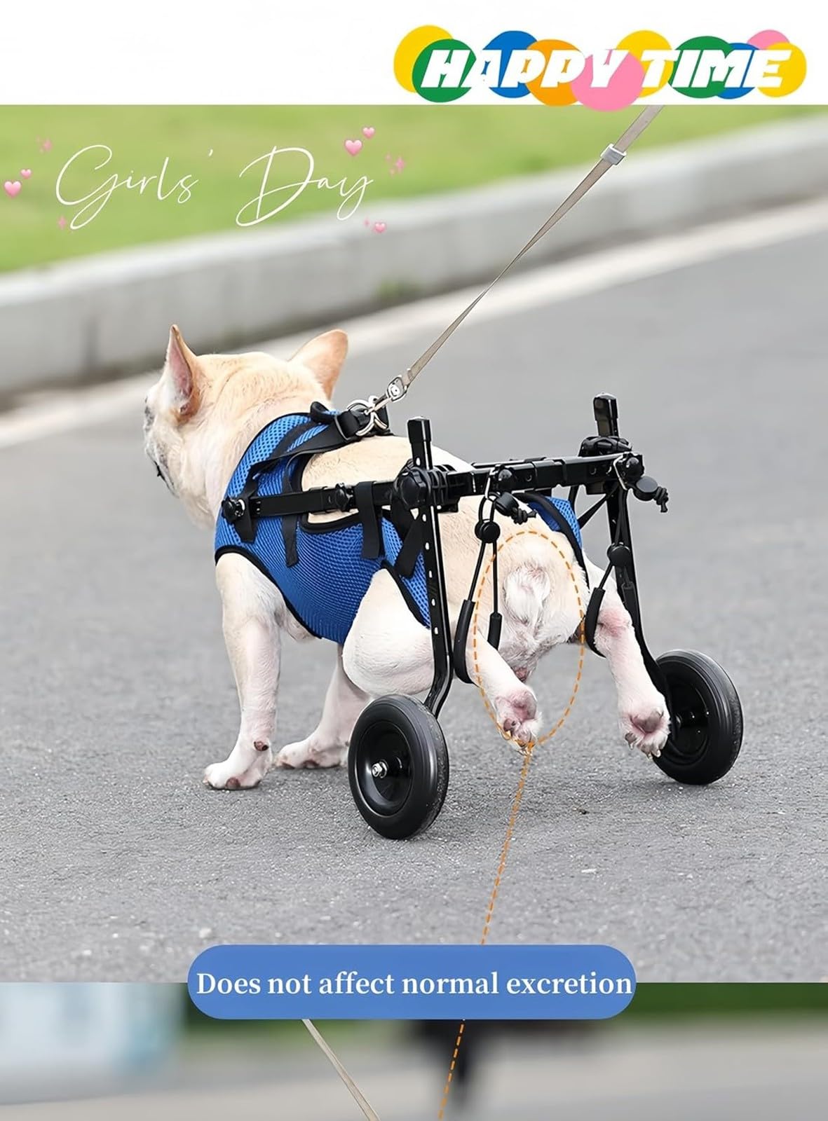 Passeggini Per Carrozzine Per Cani, Carrozzine Per Cani Per Camminare Con Zampe Posteriori Disabili, Carrello Per La Mobilità Della Carrozzina Per Cani(Small)