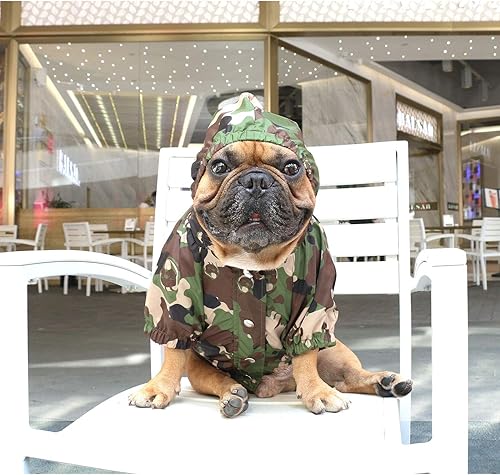 Miniatura 9 de iChoue Las chaquetas de seguridad reflectantes para perros, los abrigos resistentes al agua están hechos de tela de alta reflexión que mantiene a