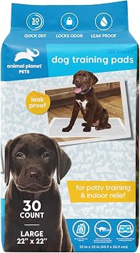 Animal Planet Pet Training Puppy Pads for Dogs - Super Absorbent, Tear-Resistant & Durable - 5 Layers with Leak Protection for Puppies - 22x22 in 30Count, White