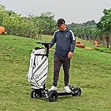 Eswing 1200w/48v Electric Off Road Golf Cart Scooter Vehicle New