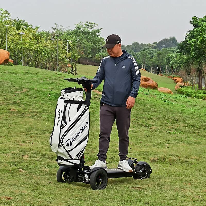 Eswing 1200w 48v Electric Off Road Golf Cart Scooter Vehicle New