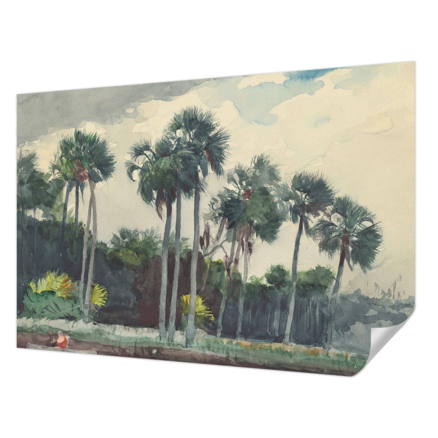 Papier peint autocollant 152x104 cm aux palmiers exotiques pour salon et chambre