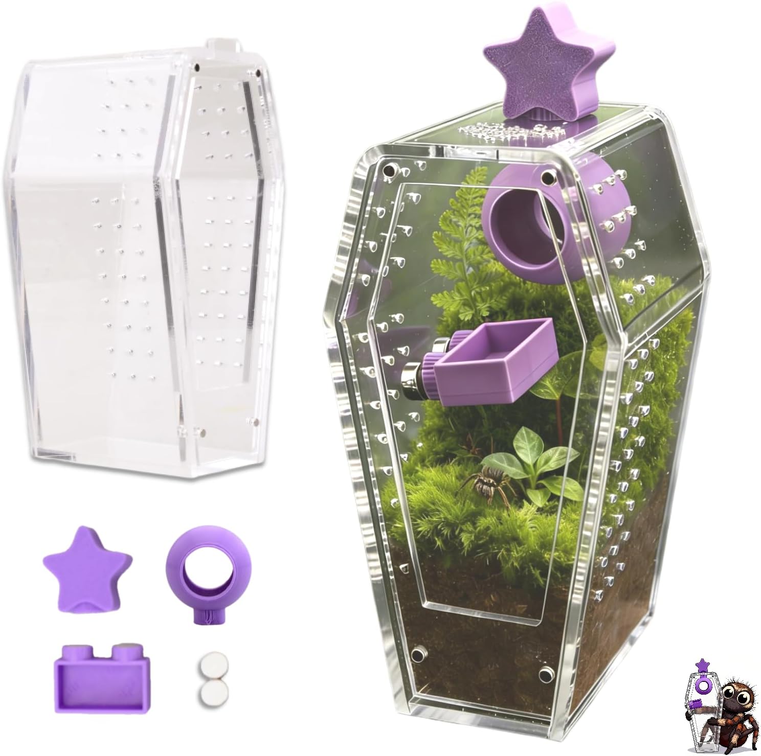 Jumping Spider Enclosure,Acrylic Magnetic Terrarium with Water Feeder and Star Hide,Terrarium Kit for Tarantulas Snails 5.9x2.6x3 Inches 6PCS(Purple)