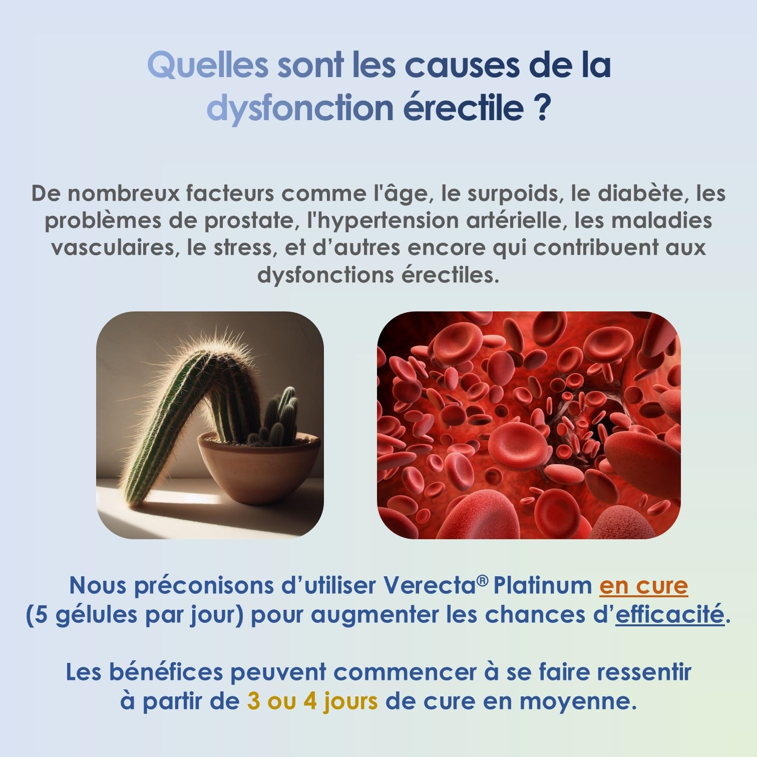 Verecta Platinum | 55 Gélules Endurance Homme avec L-Arginine, Ginseng, Maca | Micro Circulation Sanguine, Testosterone | Endurance, Énergie & Performance | Qualité FR