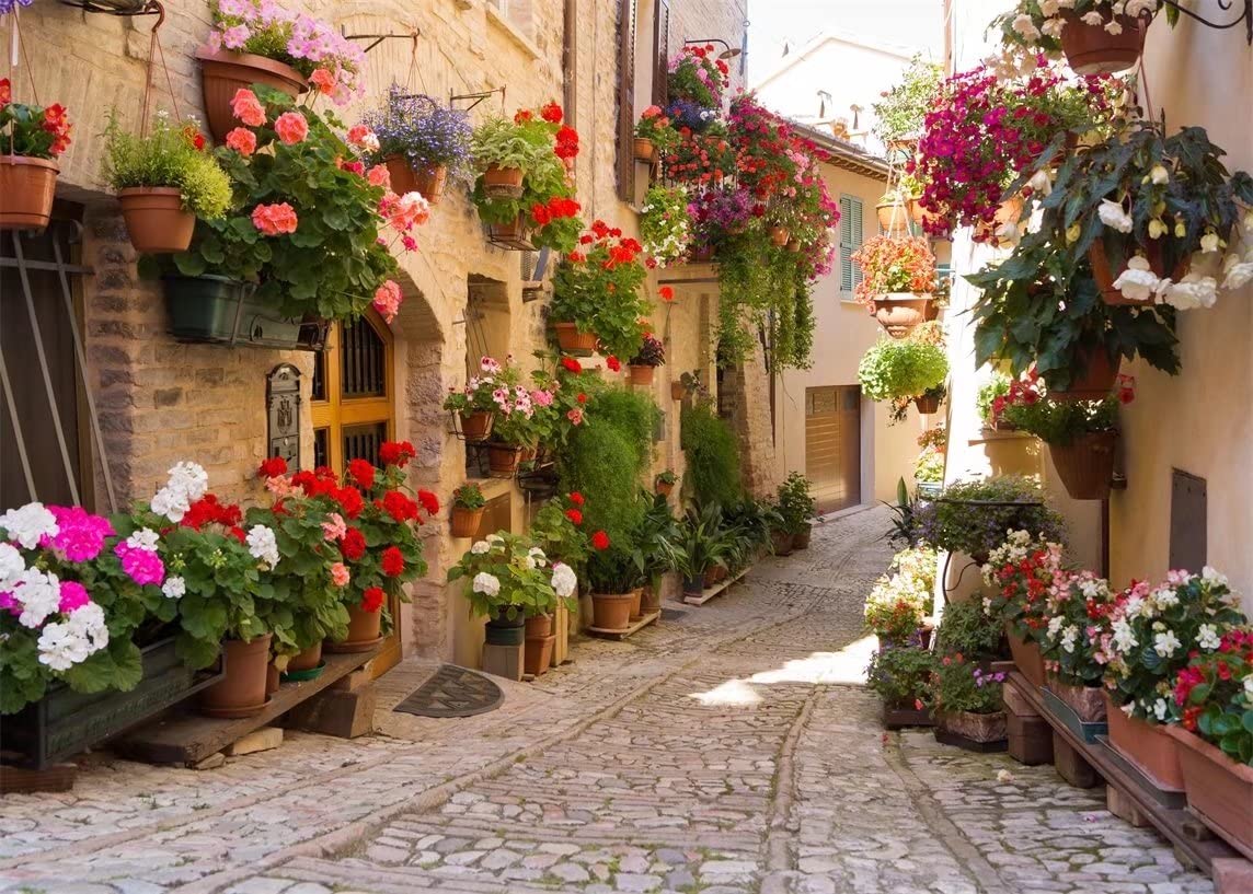 BELECO 7x5ft Fabric Italy Street Photography Backdrop Europe Village Town Landscape Buildings Colorful Flowers Photo Background Italian Themed Party Backdrop Holiday Travel Pictures Shooting Wallpaper