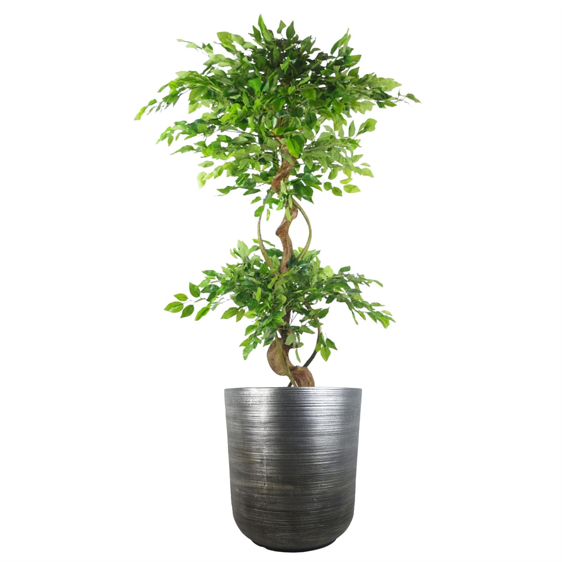 Leaf Large Planters Plant Pots, 47cm Coya Planter - Image 2