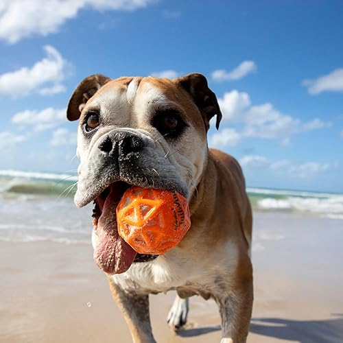 Miniatura 7 de Waboba Woofgames - Juego de juguetes para perros para mascotas, paquete interactivo de juguete para aliviar el aburrimiento con disco volador de