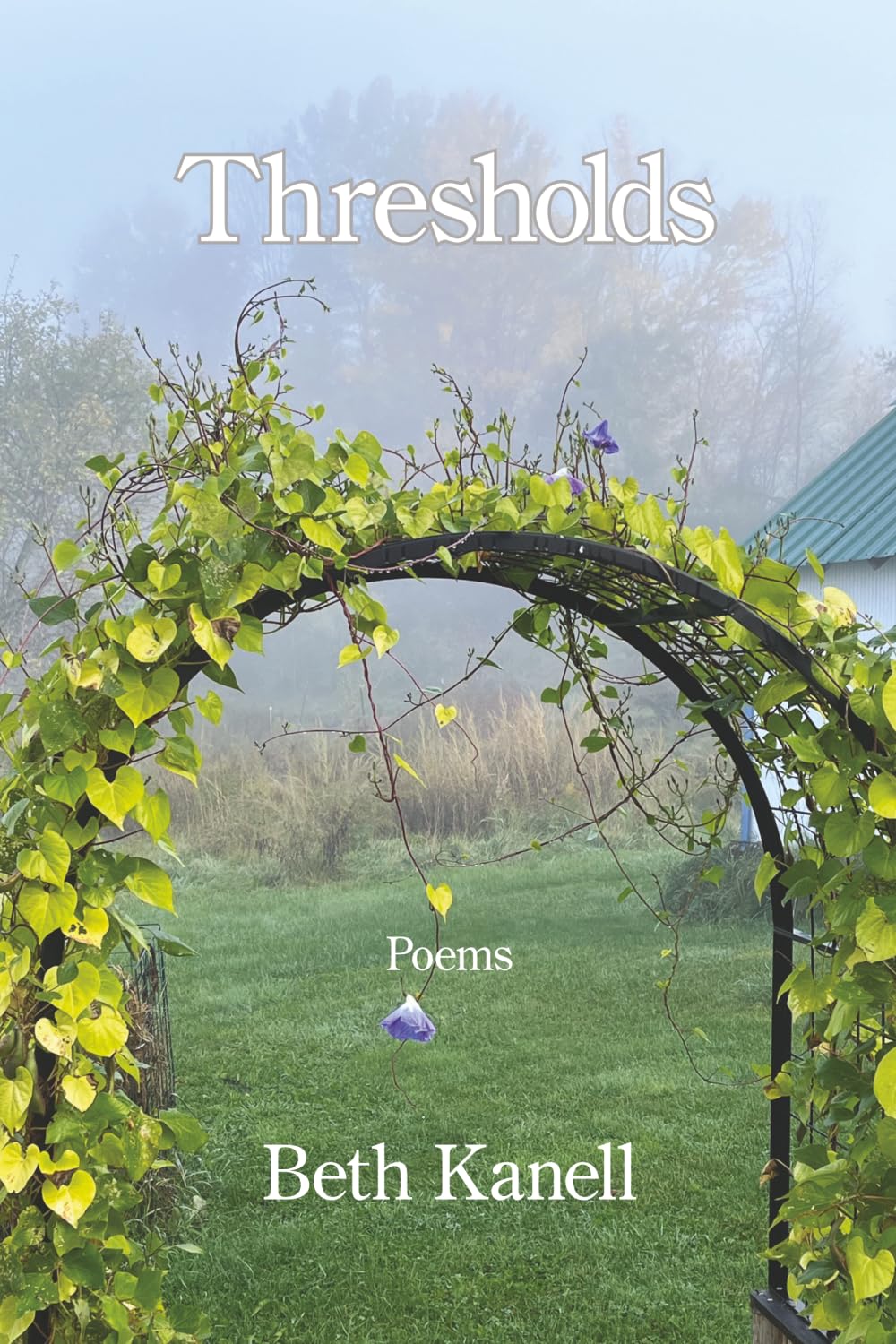 Thresholds      Paperback – March 25, 2026