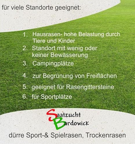 Foto von Sport + Spielrasen strapazierfähig Gebrauchs - Rasenmischung für trockene Standorte dürreresistente 10kg für ca. 300 m² Sportrasen