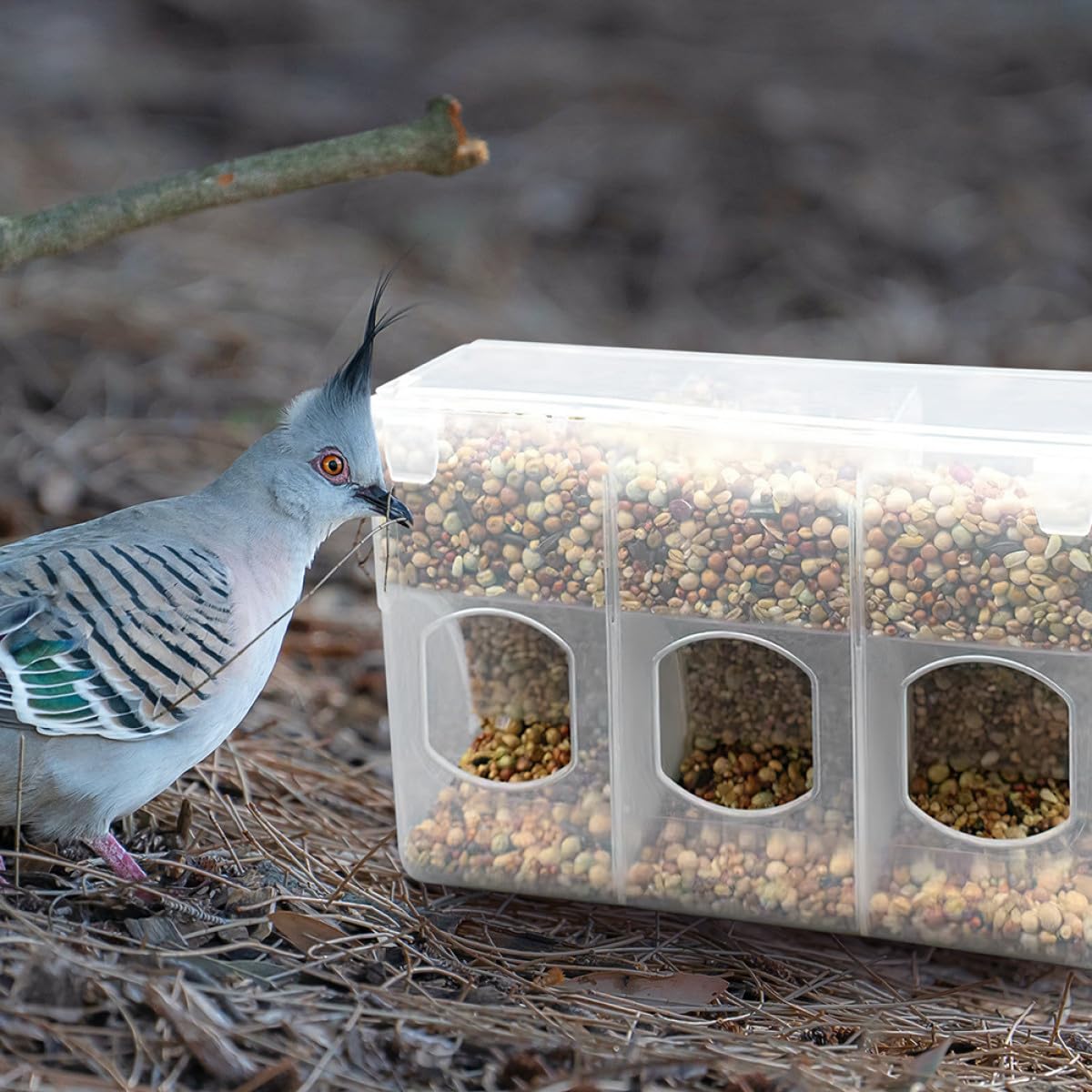 2 Stück Teiliges Vogelfuttersilo mit Kammern Auslaufsicherer Futterspender für Tauben Papageien und Wachteln Automatischer Futterautomat zum Aufhängen im Vogelkäfig Praktisch und