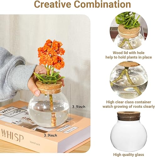 Miniatura 2 de Estación de propagación de plantas, jarrón hidropónico de terrario, estación de maceta de vidrio de escritorio, para casas, decoraciones de jardín,