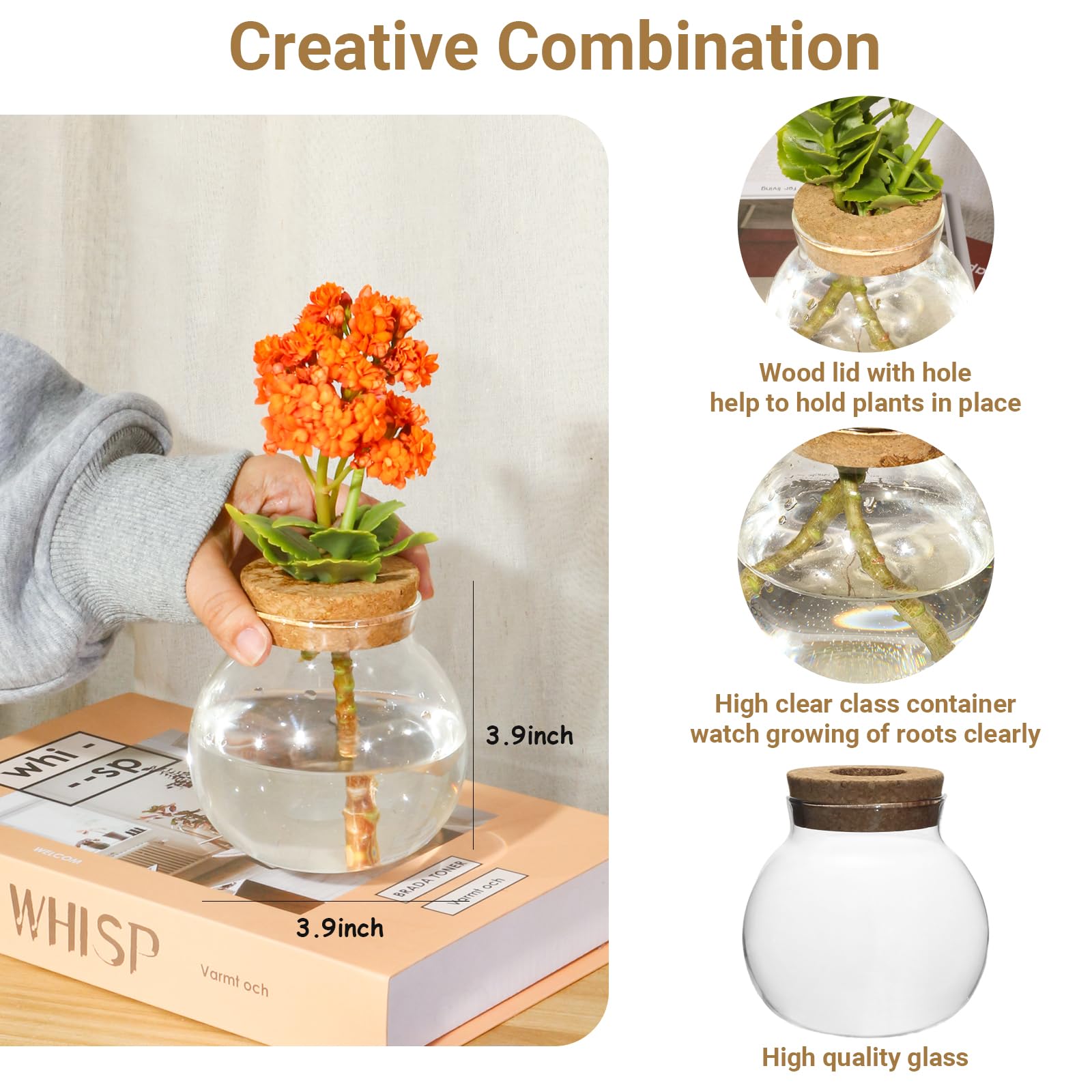 Plant Propagation Station,Hydroponic Terrarium Vase,Desktop Glass Planter Station,for Houses,Garden Decorations,ropagating Hydroponic Plants,Centerpiece Office,Home Garden Decor (2)