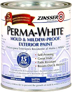 Can You Use Exterior Paint Inside - Here is Why You Shouldn't