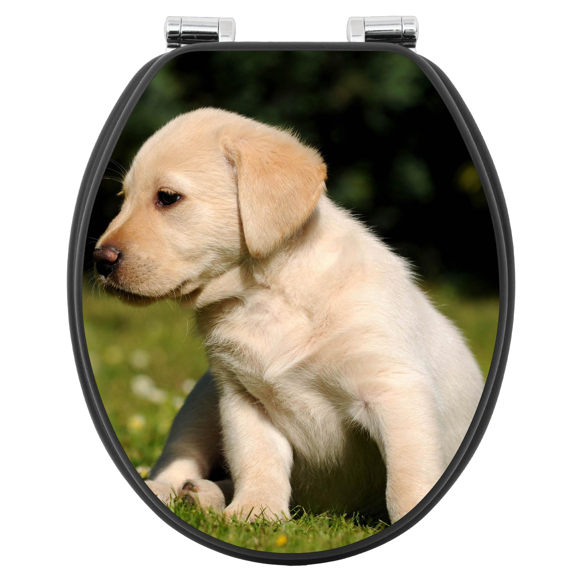 banjado WC Sitz Hunde - mit Absenkautomatik - 38 x 46,5cm O-Form - MDF Holz Toilettendeckel anthrazit - Klositz grau pflegeleicht für Badkomfort - Motiv Labrador