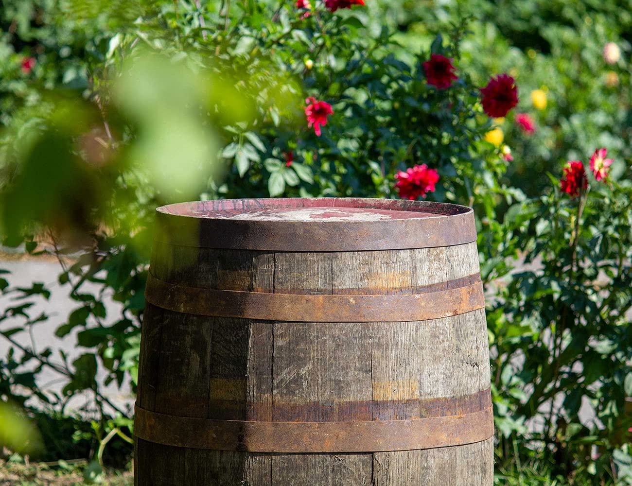 Temesso Barril de Madera Usado, auténtico Barril de Whisky escocés para decoración - con Tratamiento de Aceite
