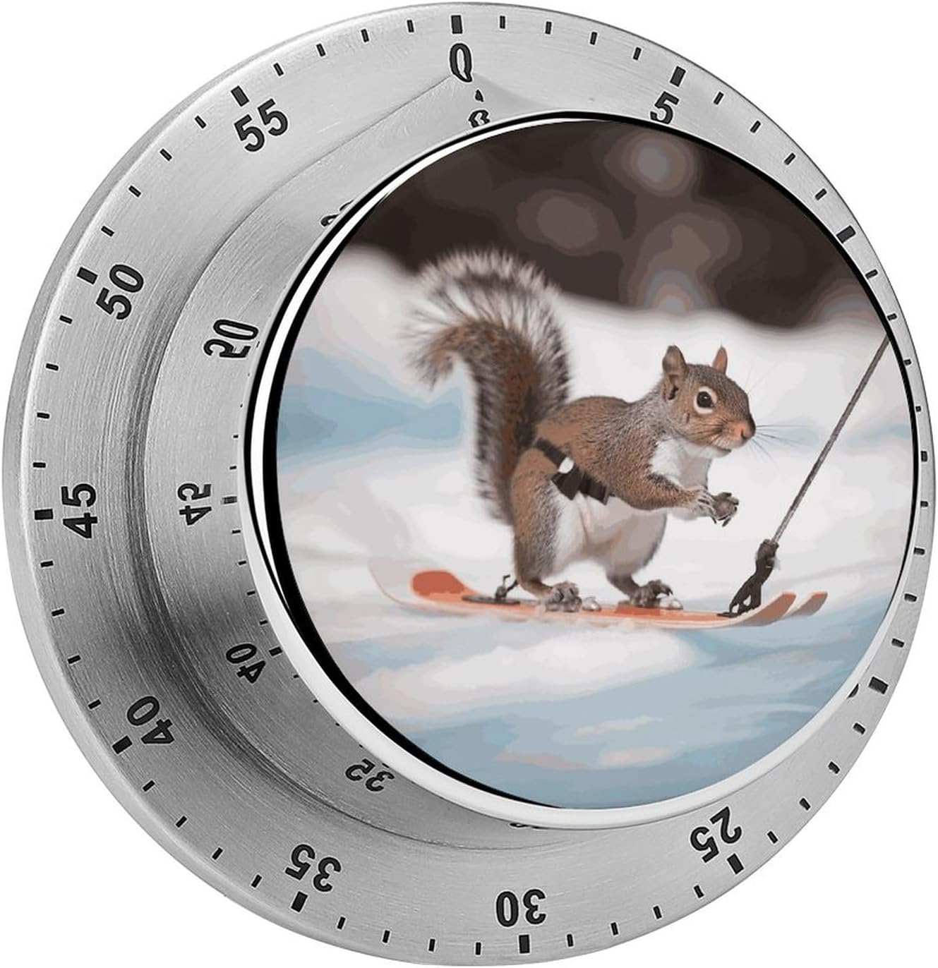 Skiing Squirrel Mechanical Stainless Steel Timers Kitchen Timer Egg Timer Gym Timers for Cooking Magnetic Clock for Exercise Baking Playtime Or Wor