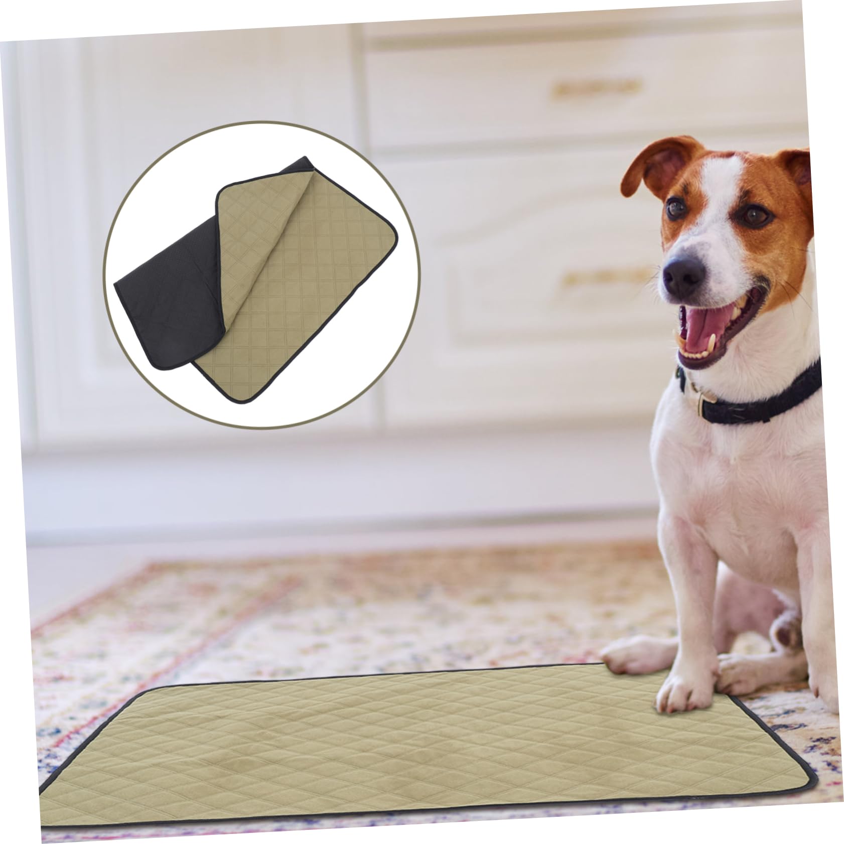 2pezzi Tappetini Assorbenti Per Lavabili Tappetini Riutilizzabili Impermeabili Per Per Per Animali Domestici Per Addestramento e Protezione Mobili
