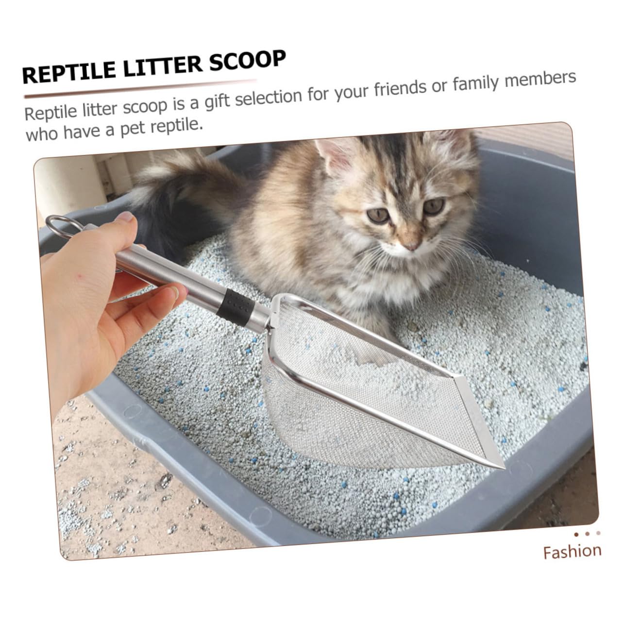 Pala de Acero Inoxidable Resistente para Limpieza de Reptiles Pala para Excrementos de Animales