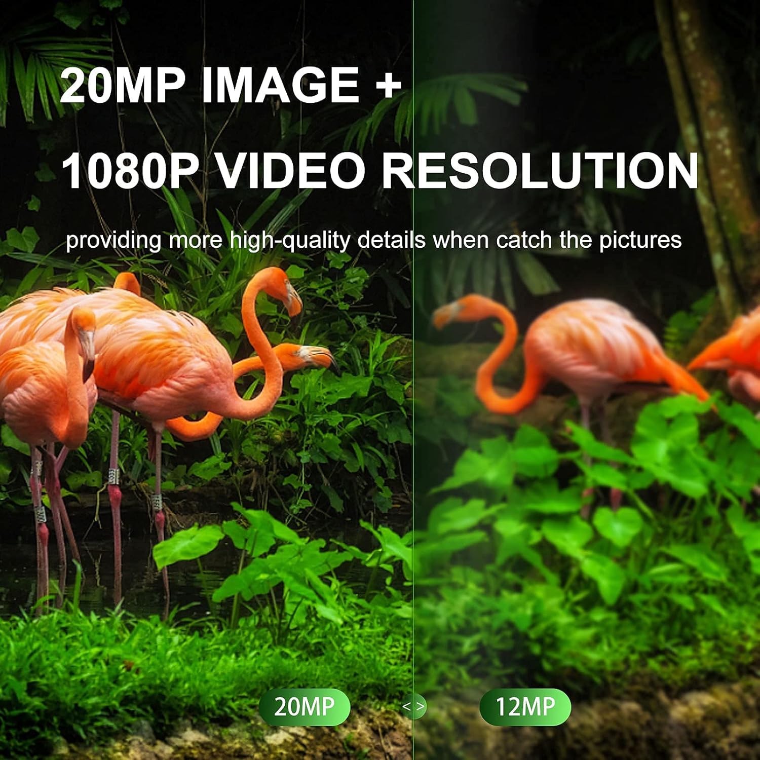 Gеt Dіѕсоunt 70% Prісе SESERN Mini Trail Game Camera 20MP 1080P, Night Vision Waterproof Hunting Camera with 120°Wide-Angle Motion Advanced Sensor View 0.2s Trigger Time 2.0” LCD for Wildlife Monitoring