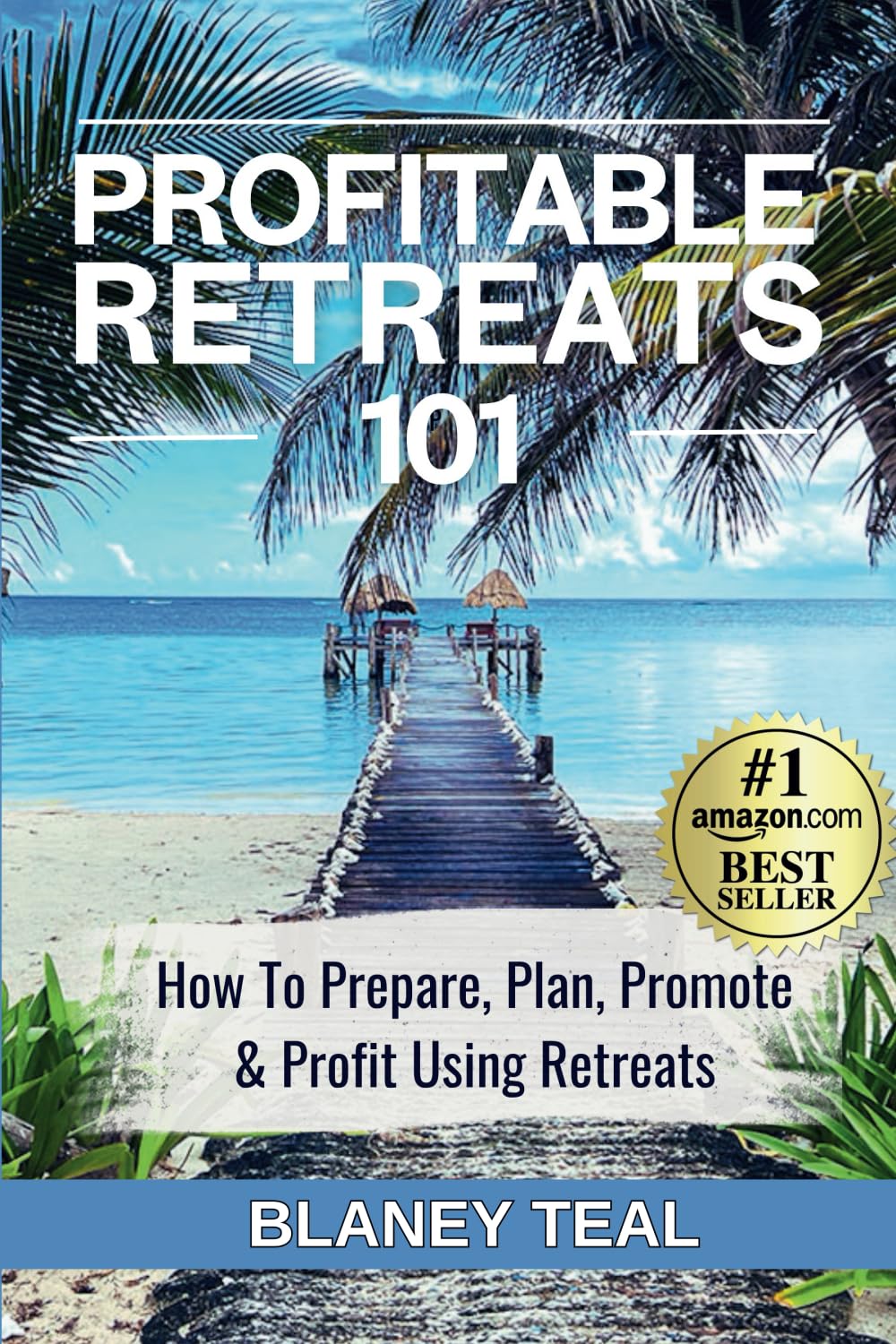 Profitable Retreats 101: How To Prepare, Plan, Promote & Profit Using Retreats