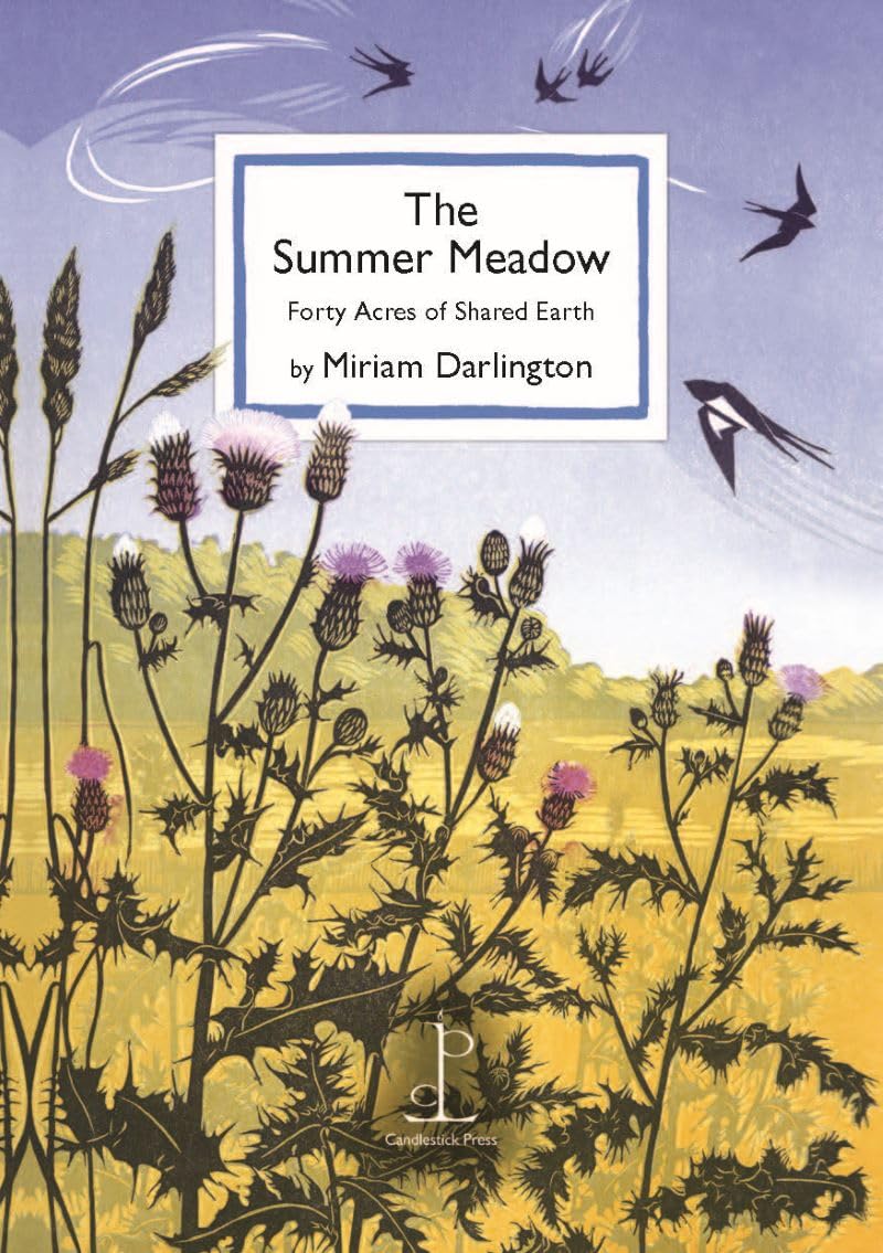 The Summer Meadow: Forty Acres of Shared Earth
