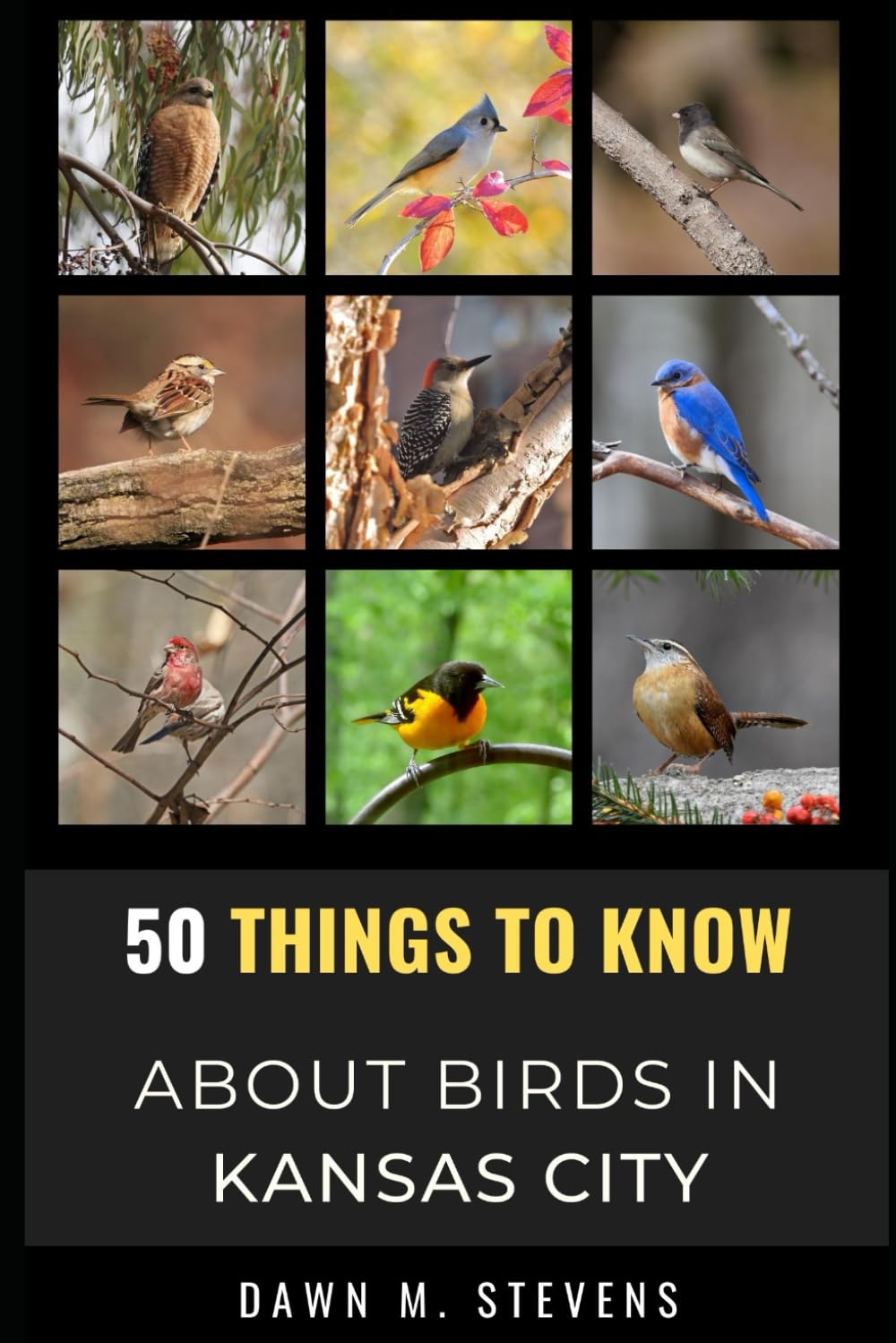 50 Things to Know About Birds in Kansas City Missouri: A Local Guide to Birdwatching, Backyard Birds, and Urban Nature (50 Things to Know About Birds ... identification tips, and regional bird books)