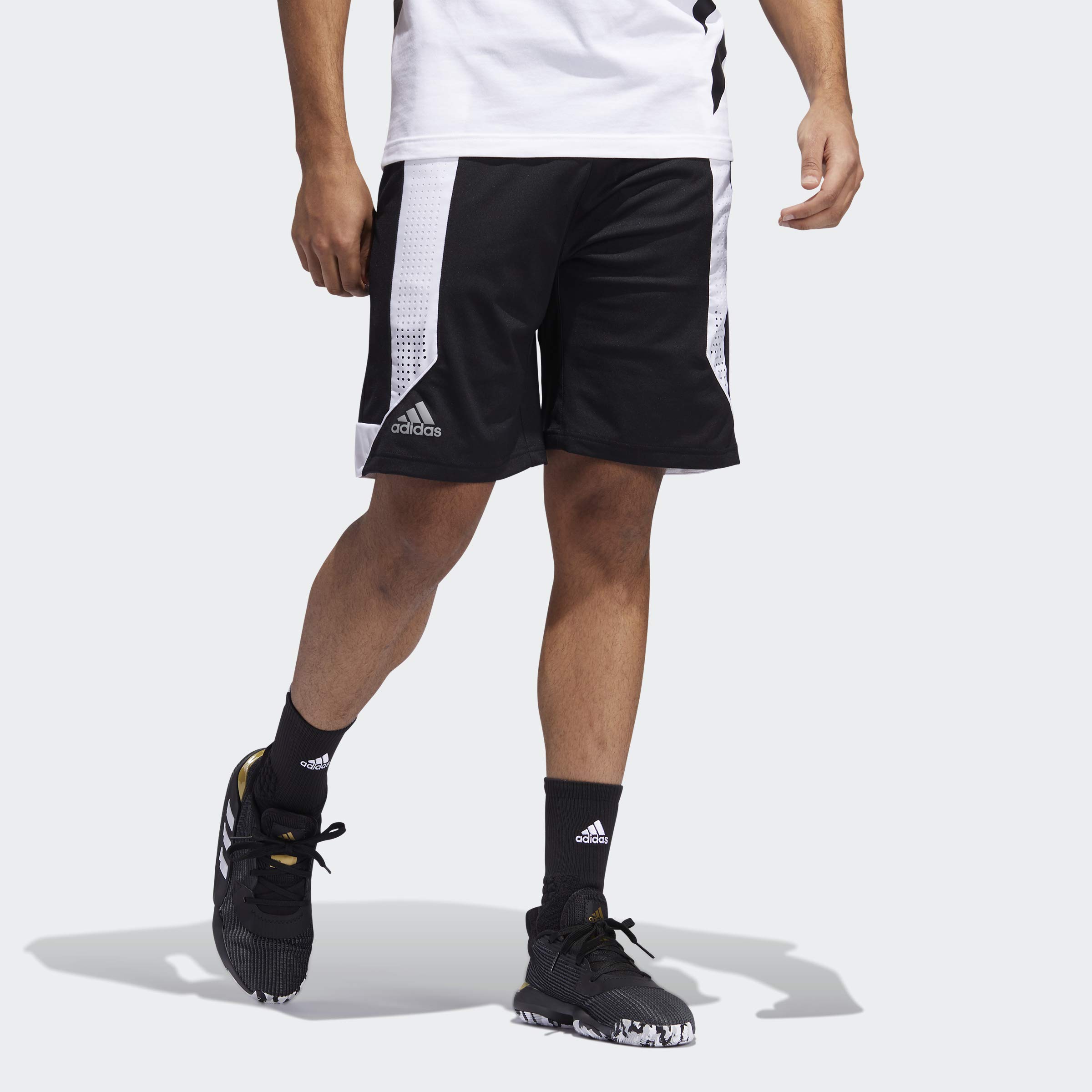 adidas Creator 365 Short pour Homme