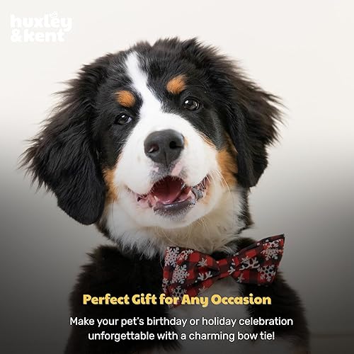 Miniatura 9 de Huxley & Kent Pajarita para mascotas  Fairisle (pequeño)  Accesorio de lazo de velcro para Navidad  Divertidas pajaritas para perros y gatos
