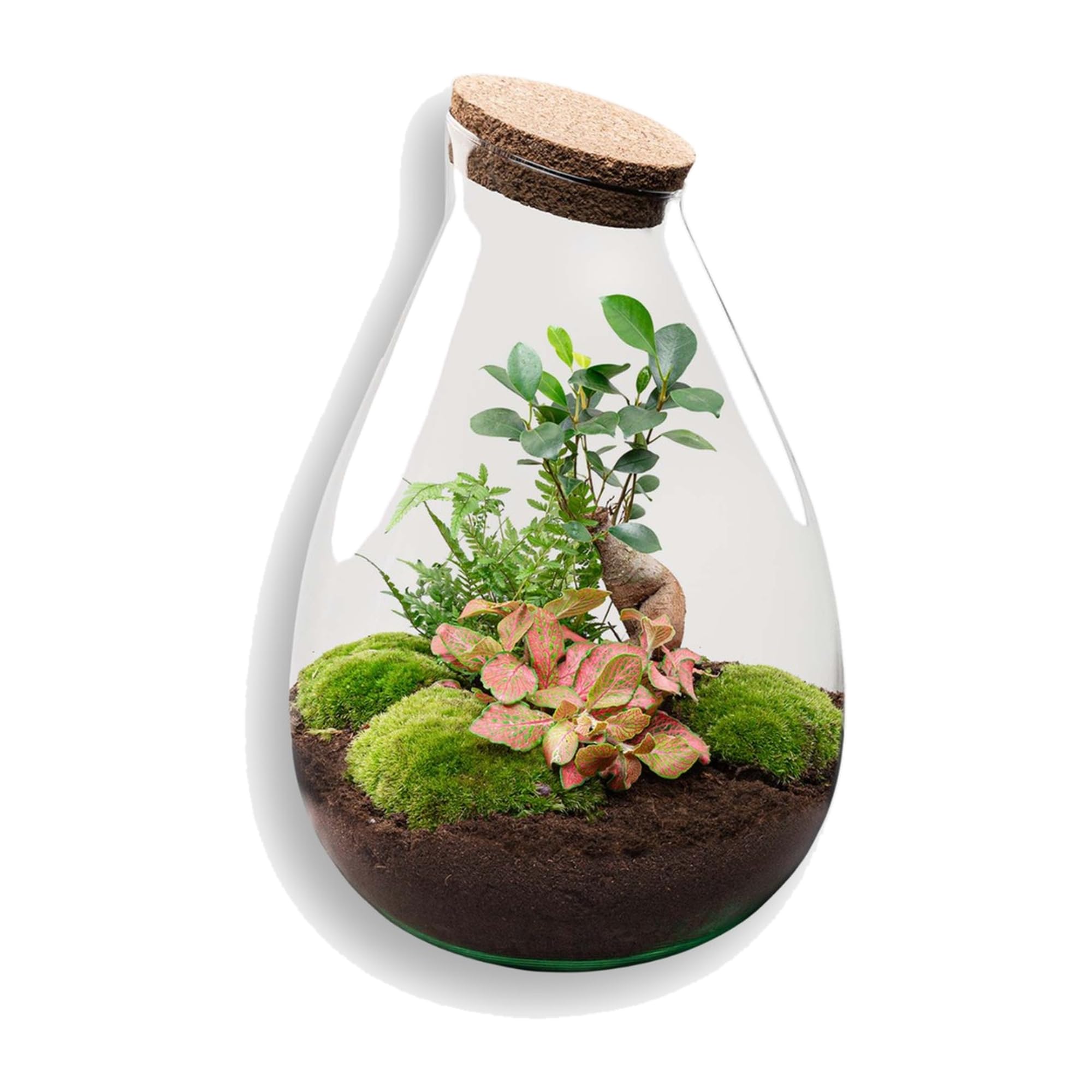 Terrario DIY de Cristal y Corcho, Decoración de Hogar, Rojo, Ø 29x37 cm