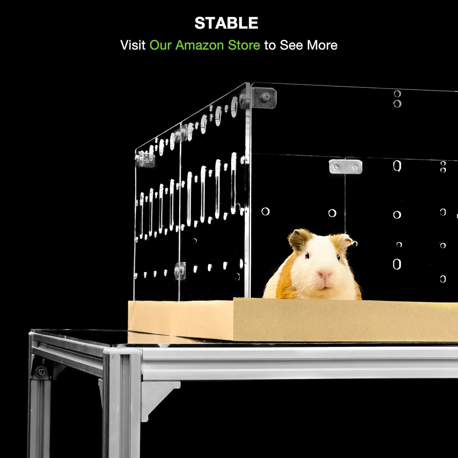 GuineaLoft™ Acrylic Cage (Model-A2) - Large 4x2ft Open Cage for Guinea Pigs, Rabbits, Button Quails, Hedgehogs, Small Animals That Need Roaming Space - Visit The GuineaLoft Store to See More