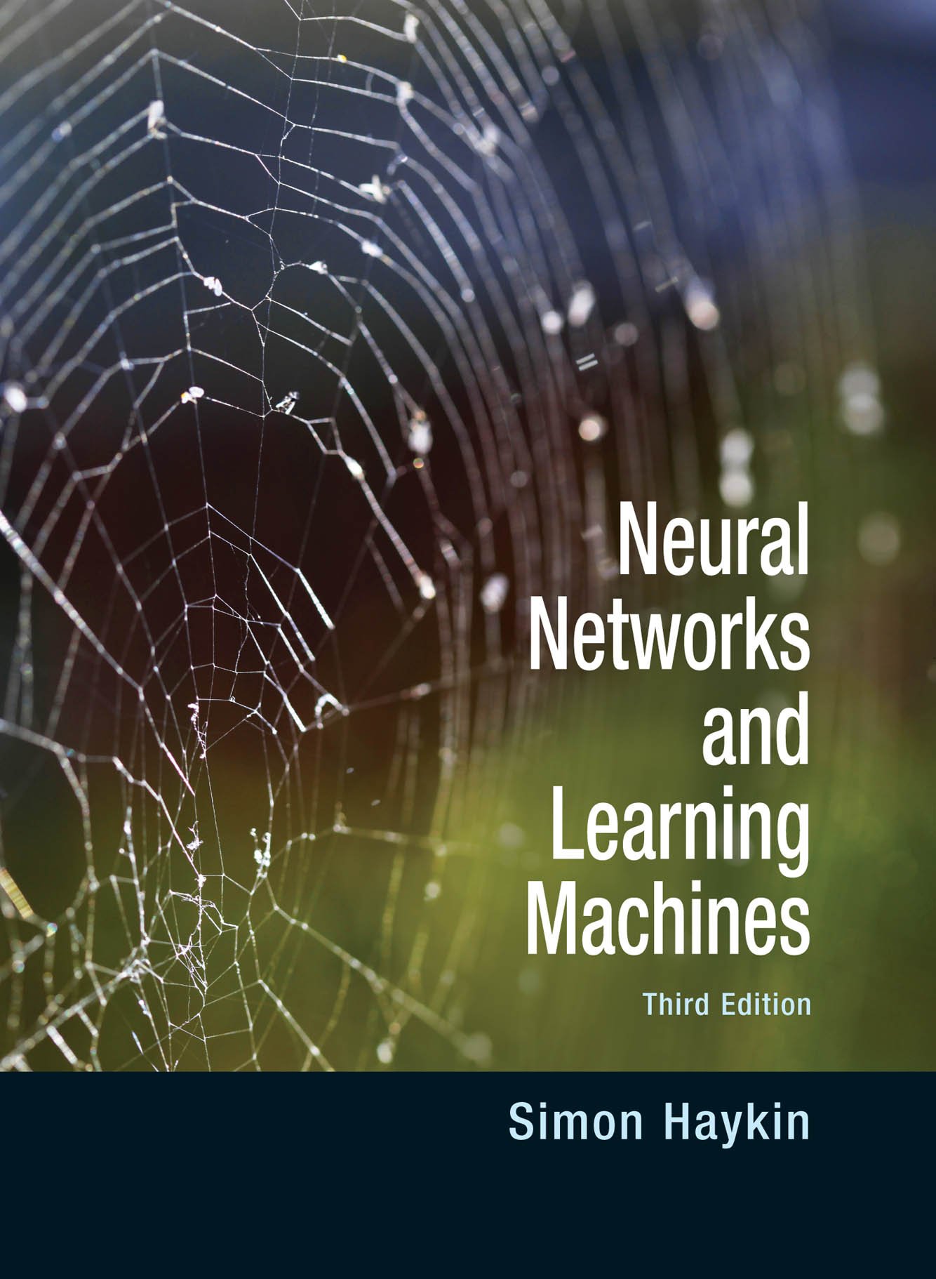 Neural Networks and Learning Machines