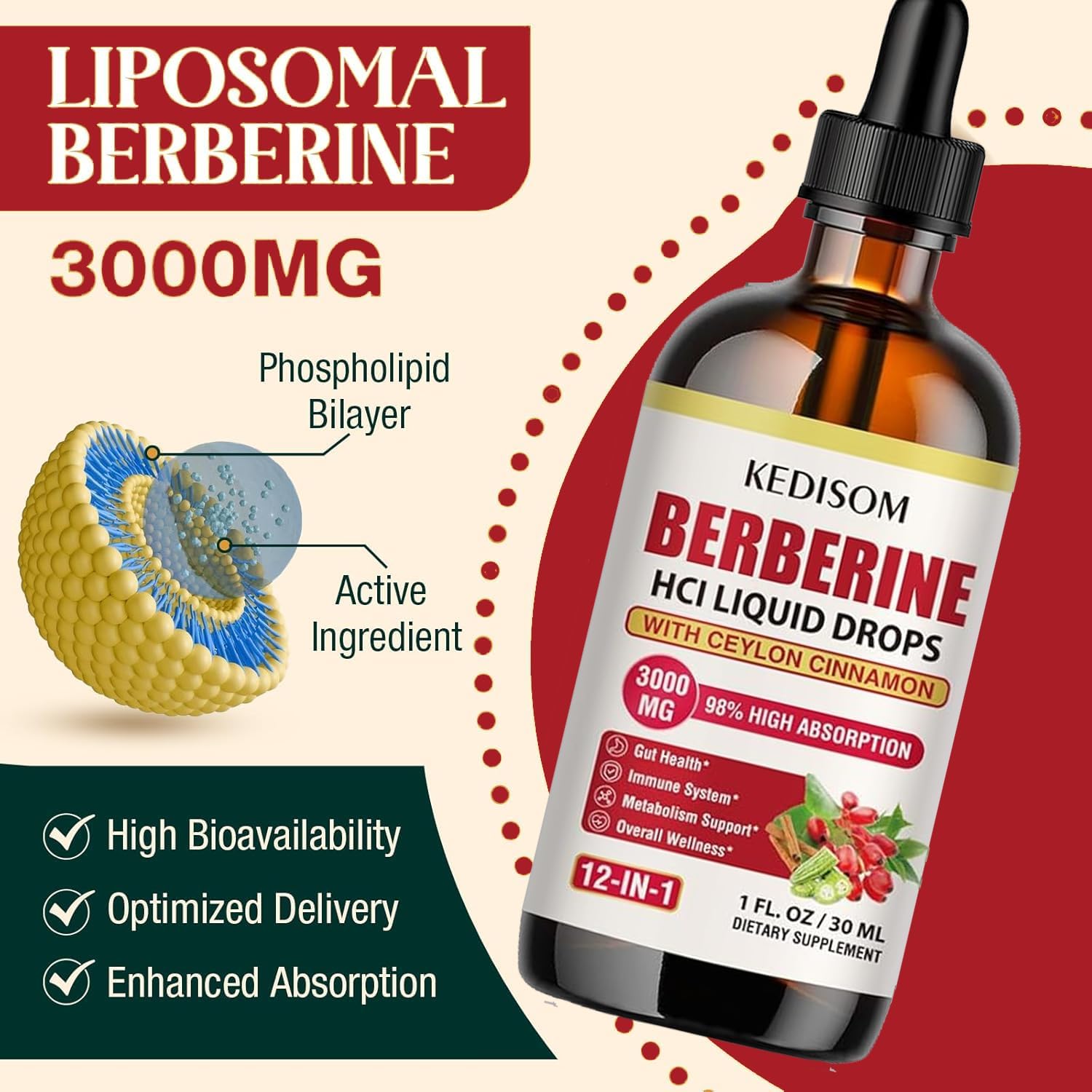 12-in-1 Berberine Supplement Liquid Drops 2 Fl Oz, 3000mg Liposomal Berberine HCL Complex with Ceylon Cinnamon Plus Turmeric, High Absorption Berberine Drops - Image 4