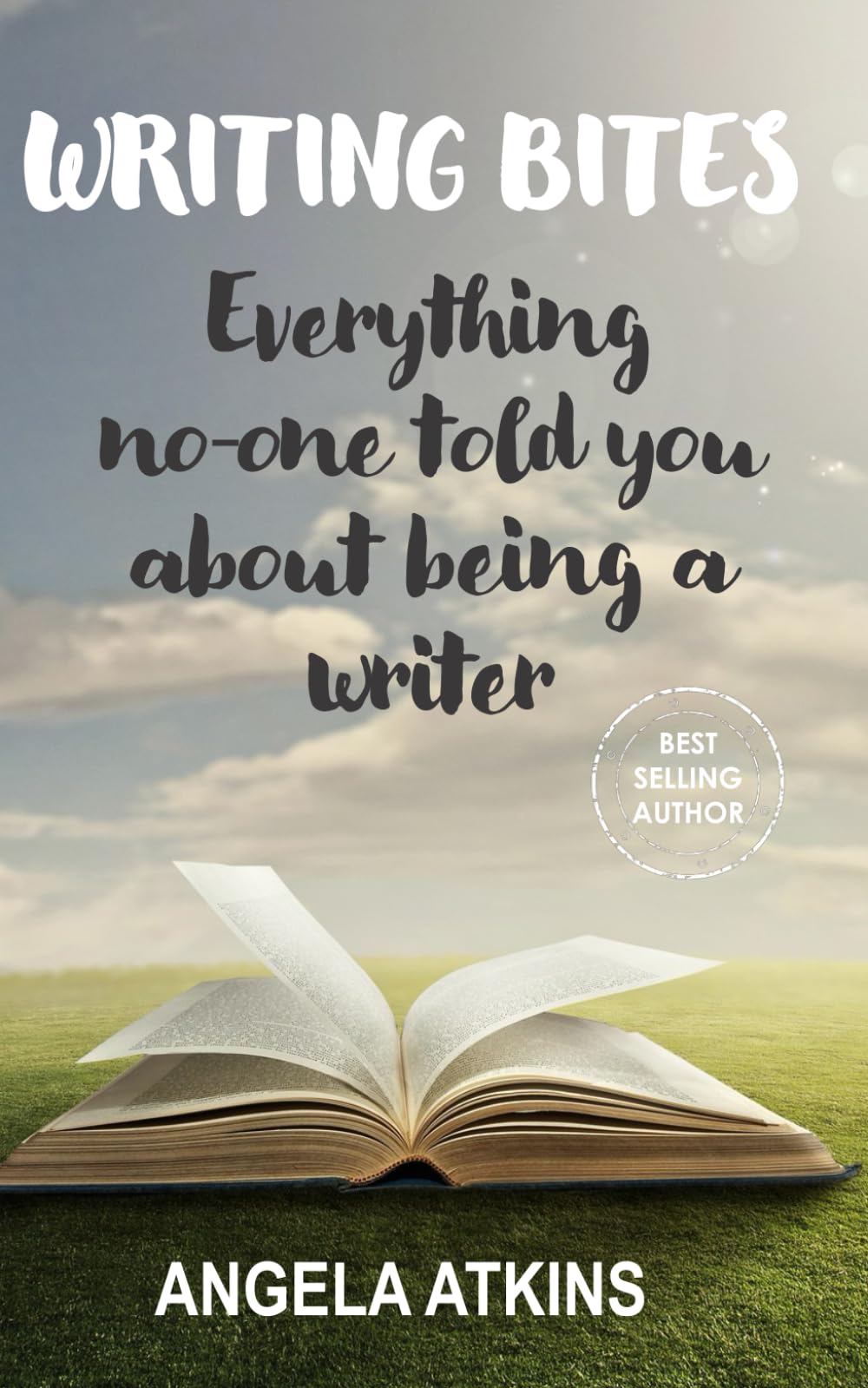 Writing Bites: Everything no-one told you about being a writer