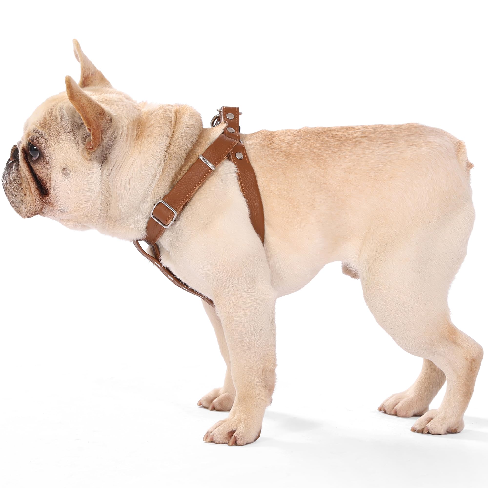 Hondentuigje, leer, zacht, verstelbaar borstharnas, Noors huisdier, zacht voor kleine, middelgrote en grote honden (L, zwart