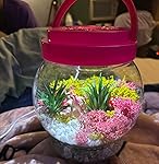 Review Image by cat cat