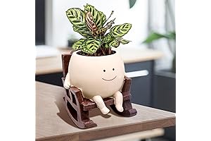 Petite Rocker's Haven: Smile Face Planter Sways with Greenery